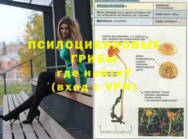 мет Переславль-Залесский